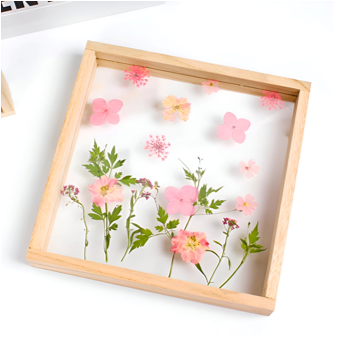 workshop - pressed flowers.png