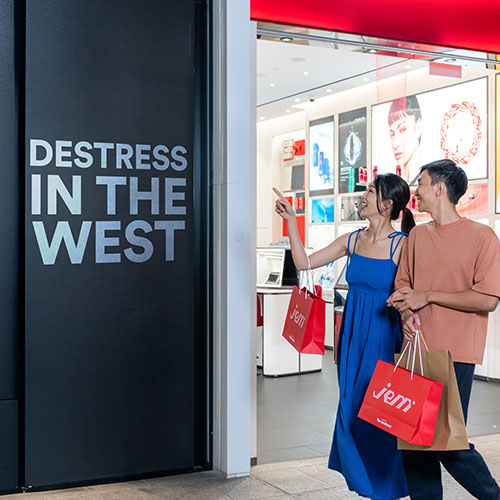 Family-Friendly Destress Activities in West Singapore