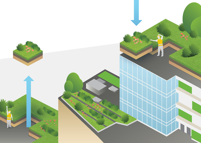 Giving Mother Nature room to grow Image